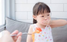 Gangguan makan pada anak balita dan cara mengatasinya